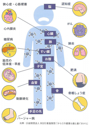 お口の中のお掃除で認知症まで予防出来る?! お口の中のお掃除で認知症まで予防出来る?!